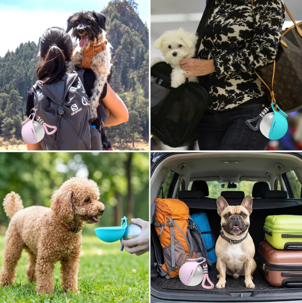 Dog Water Bottle With bowl™